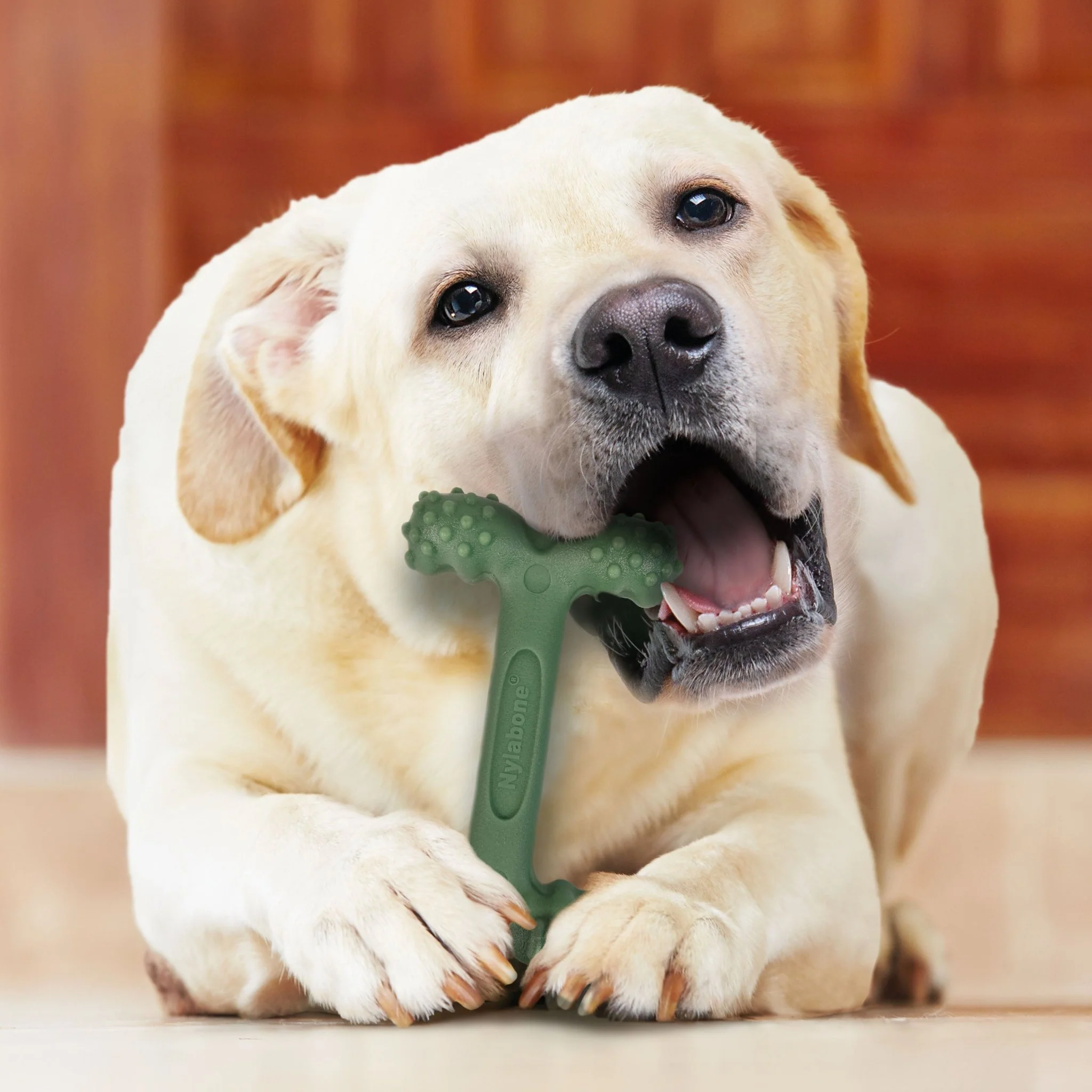 Power Chew Easy-Hold Dog Dental Chew Toy, Bacon, Large/Giant, Up to 50 lbs - Image 5