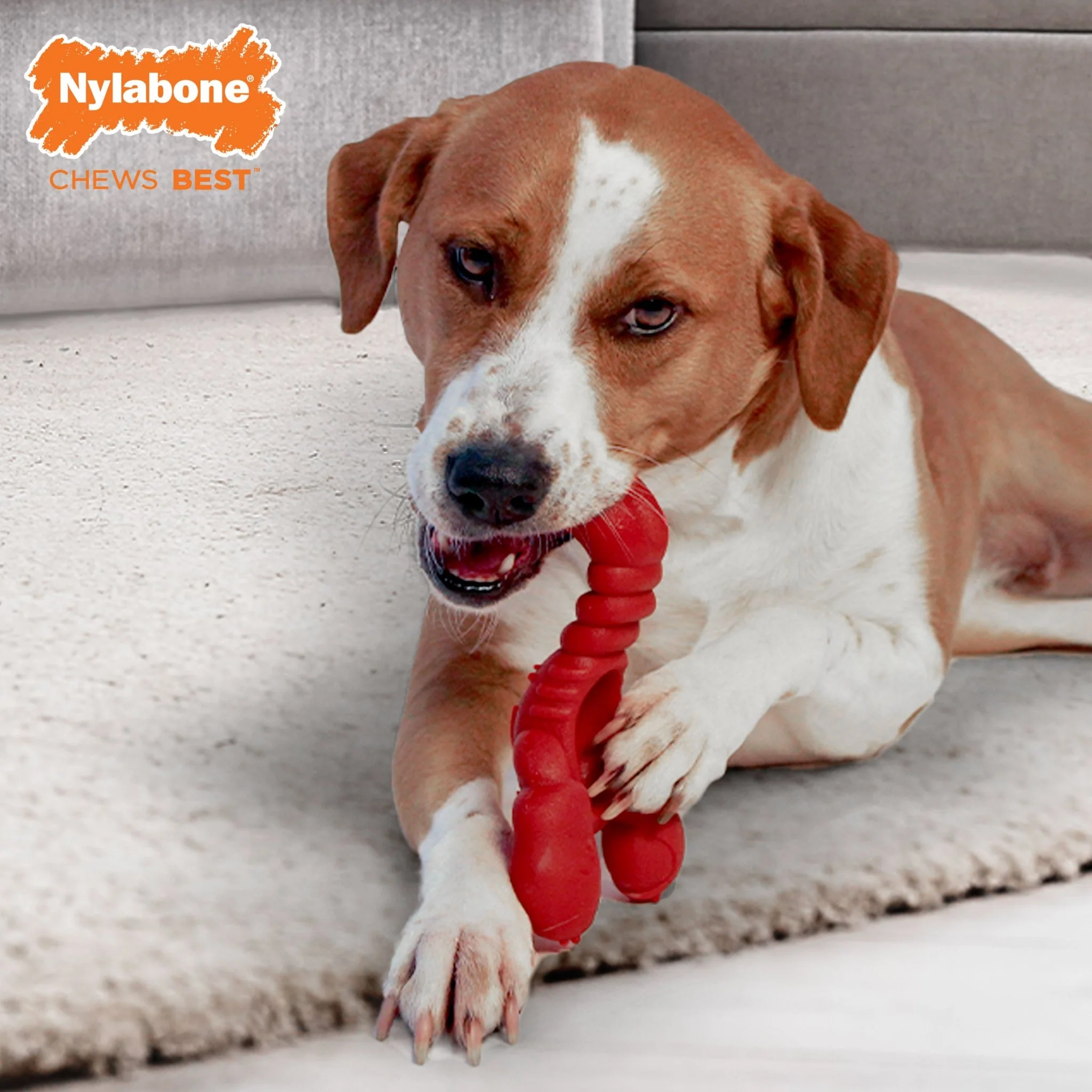 Power Chew Lobster Dog Toy, Filet Mignon - Image 7