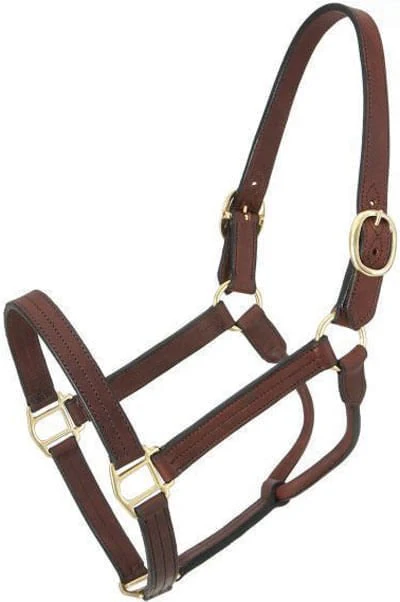 Royal King Preakness Leather Track Horse Halter - Image 9