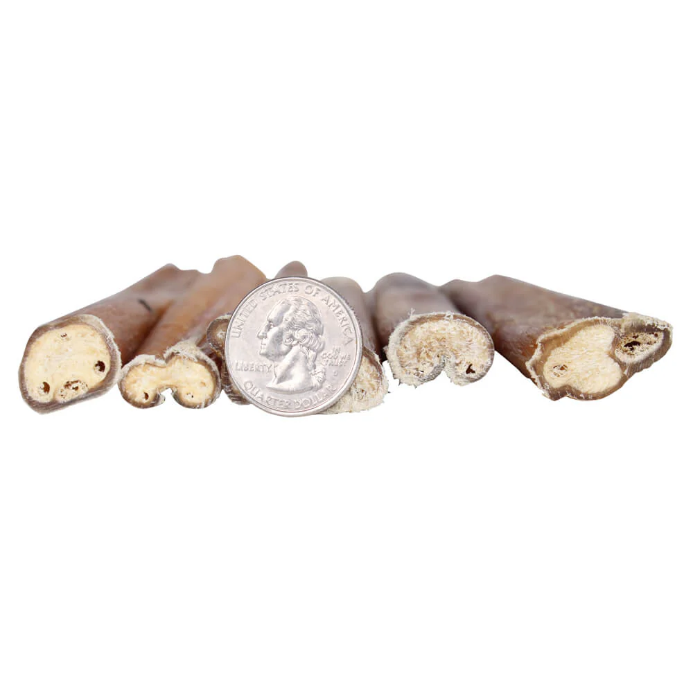 Premium All Natural Dog Pizzle Chews, 6" - Image 8