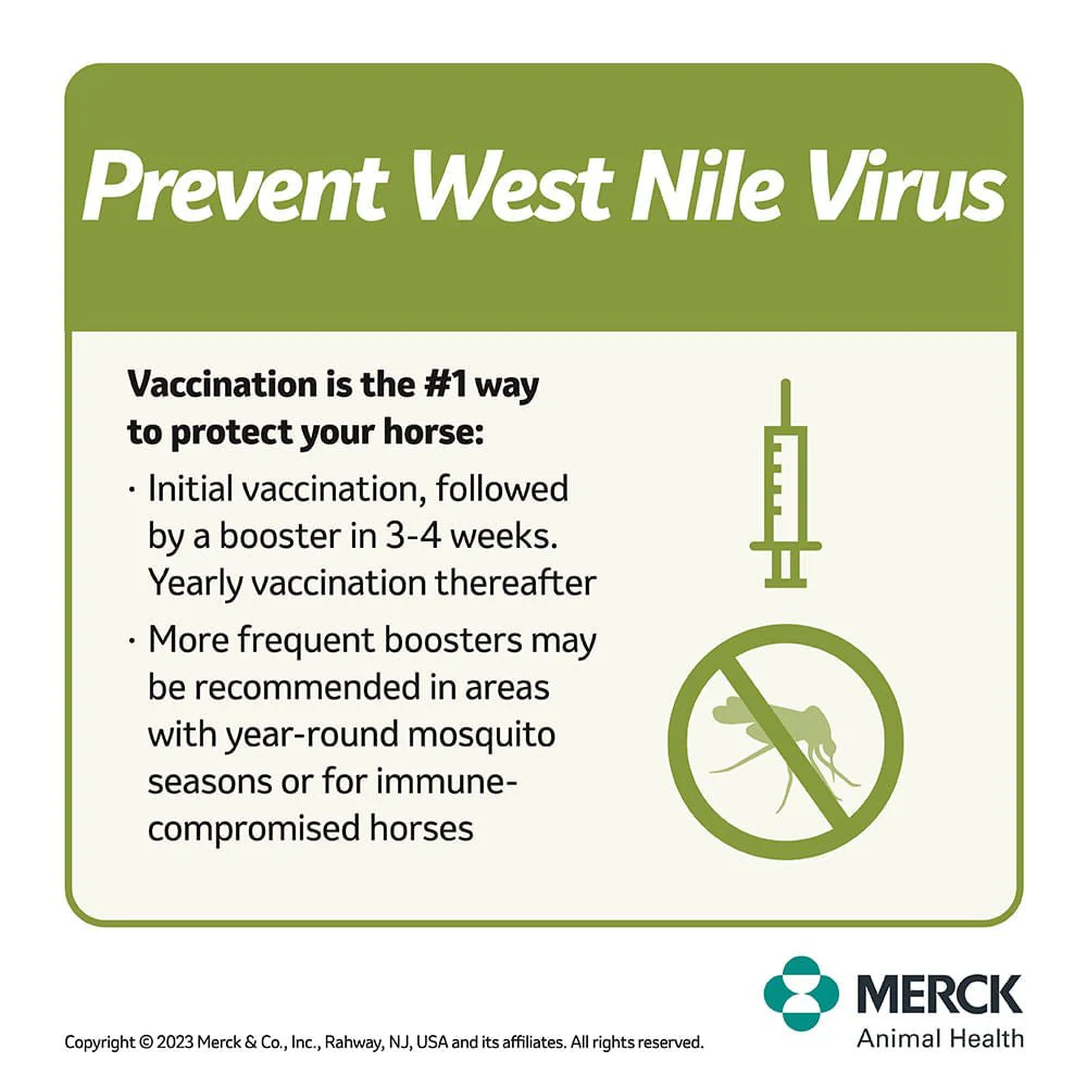 Prestige 3+WNV Horse Vaccine - Image 6