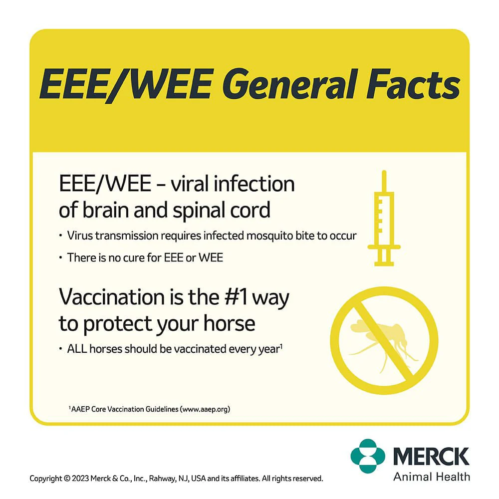 Prestige 4 EWT + Flu Horse Vaccine - Image 8