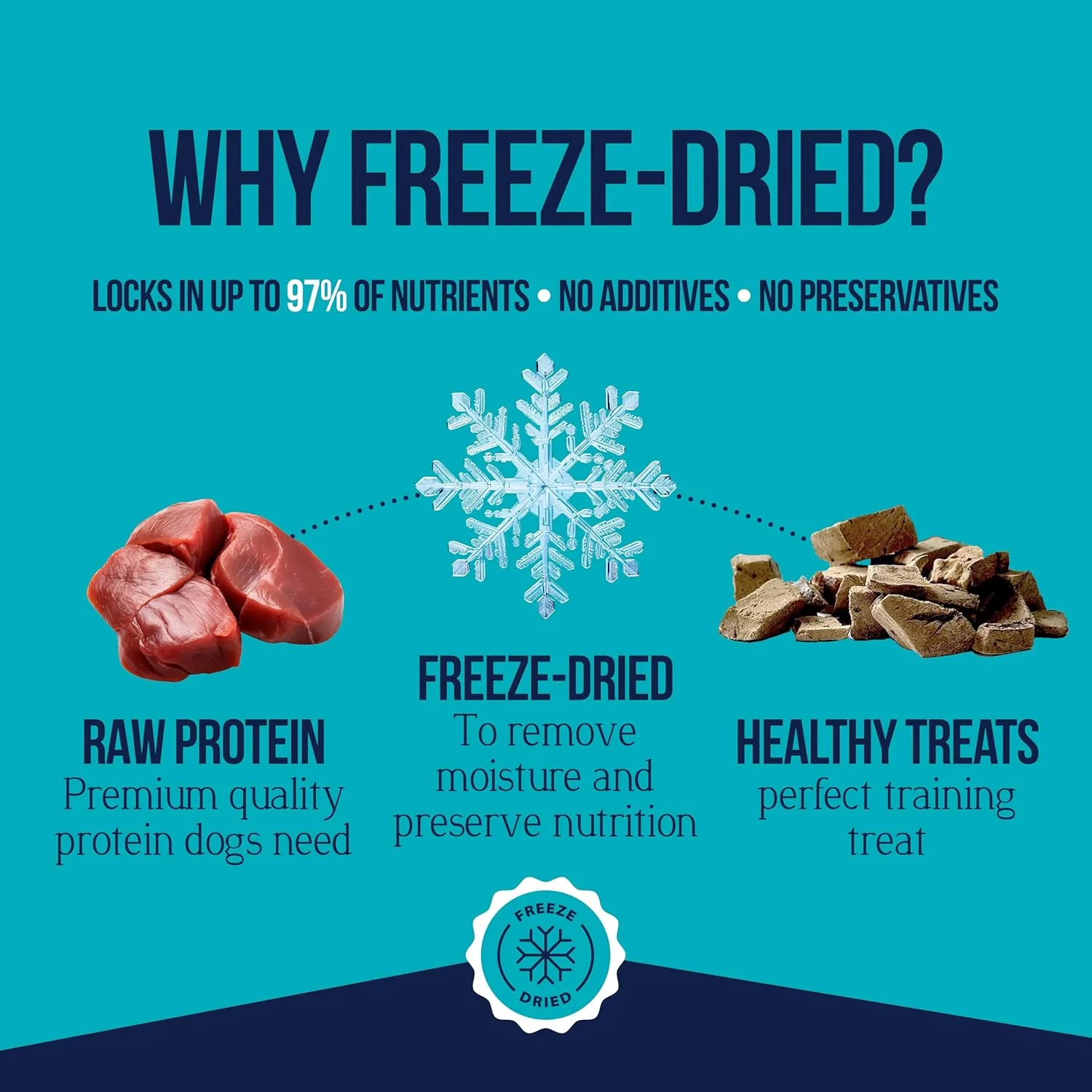 Stewart Pro-Treat Freeze-Dried Dog Treats – Nutrient-Rich, Single-Ingredient Training Treats - Image 4