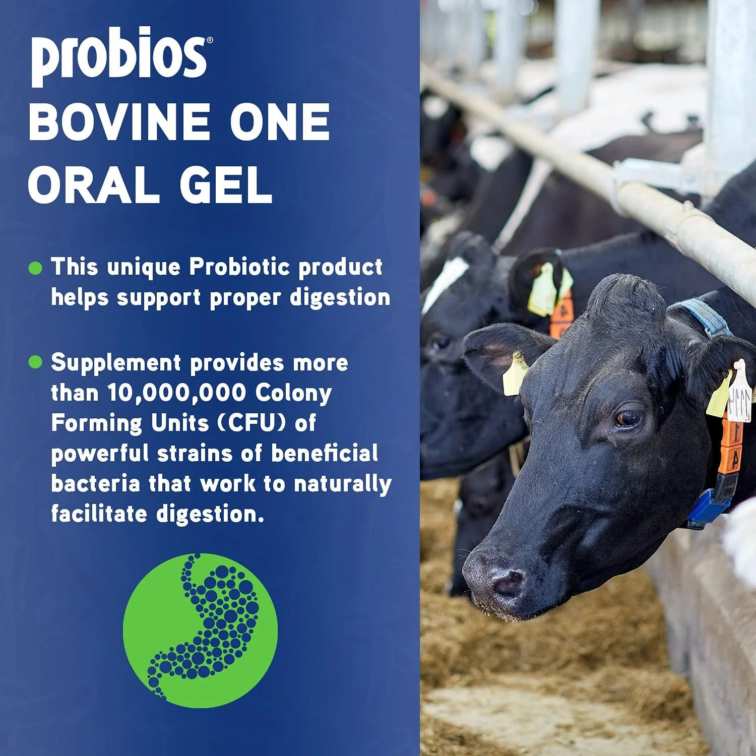 Probios Bovine One Gel - Image 4