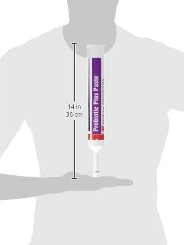 Probiotic Plus Paste - Image 12