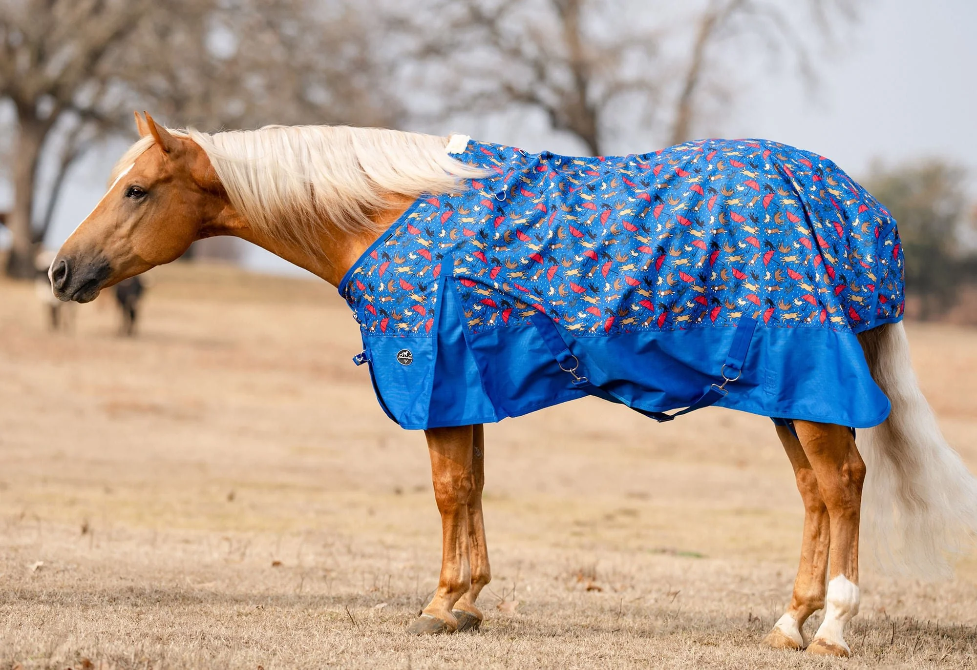 Professional's Choice 1200D Standard Neck Horse Sheet, "Raining Cats & Dogs"