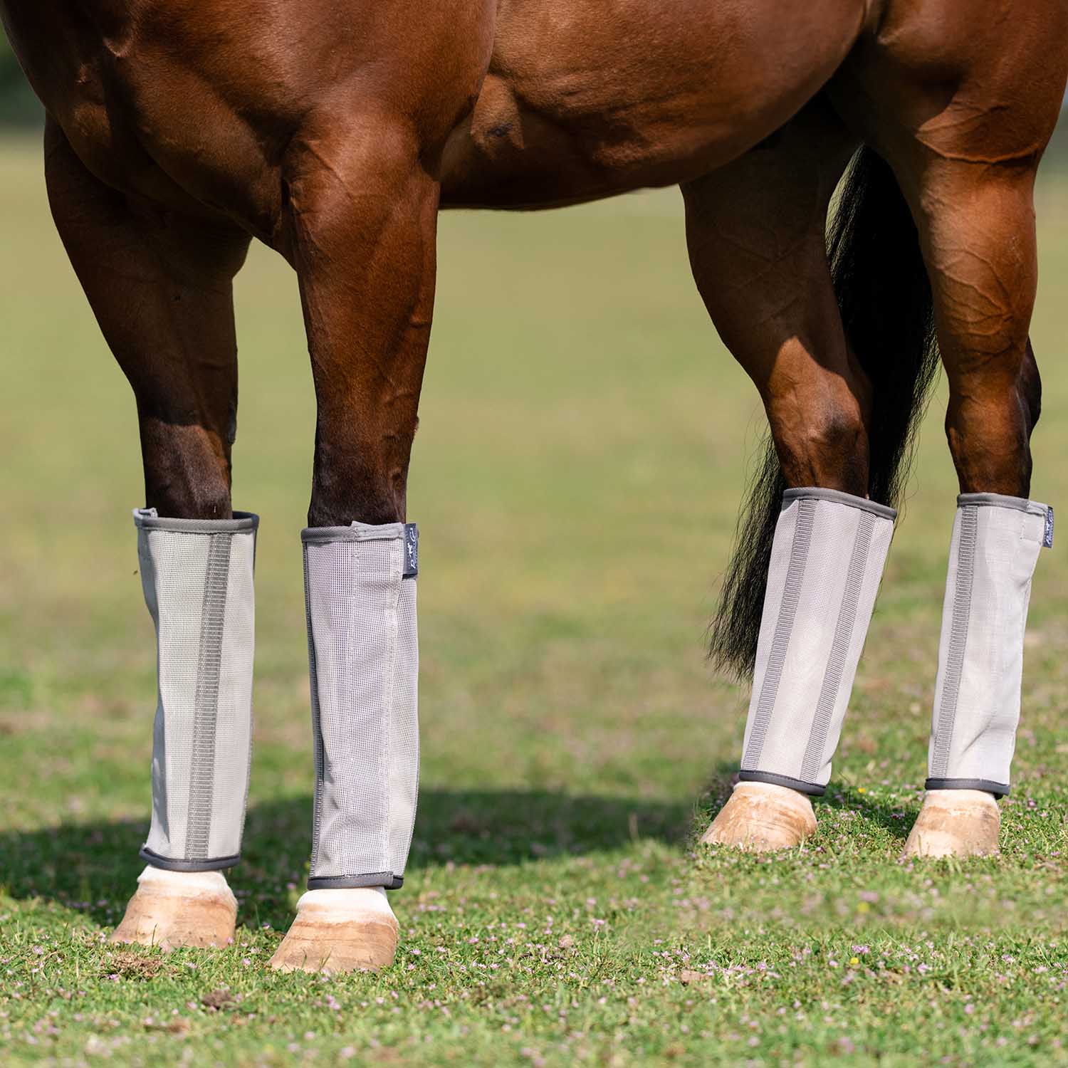 Professional's Choice Deluxe Breathable Mesh Horse Fly Boots, 4 pack - Image 2