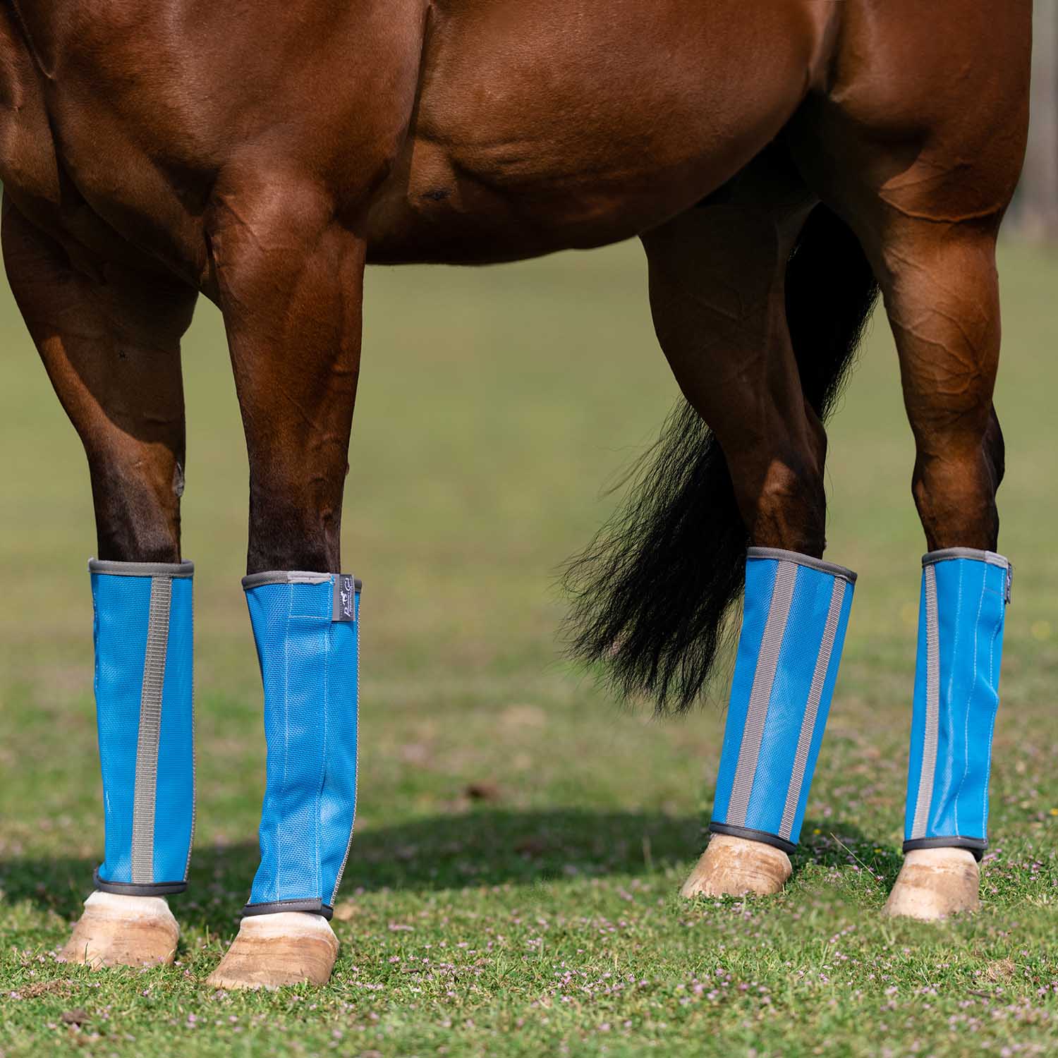 Professional's Choice Deluxe Breathable Mesh Horse Fly Boots, 4 pack - Image 5