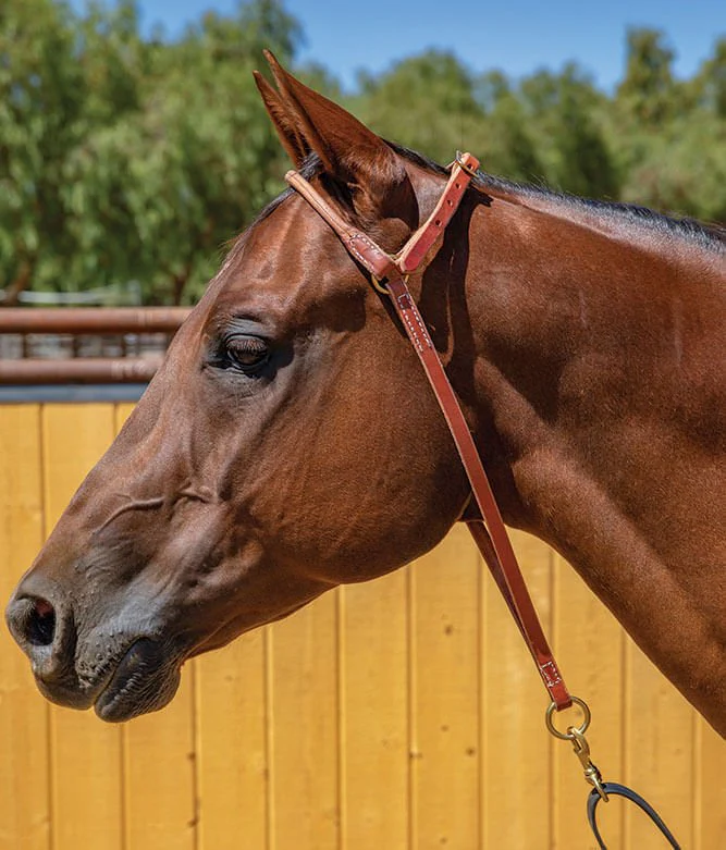 Professional's Choice Harness Leather War Bonnet