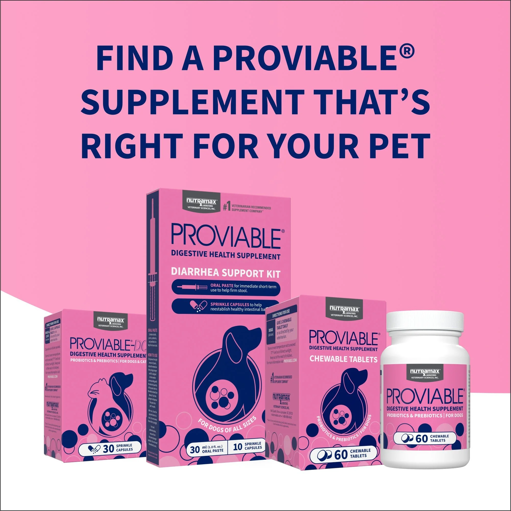 Nutramax Proviable-DC Chew Tablets for Dogs, 60 ct - Image 10
