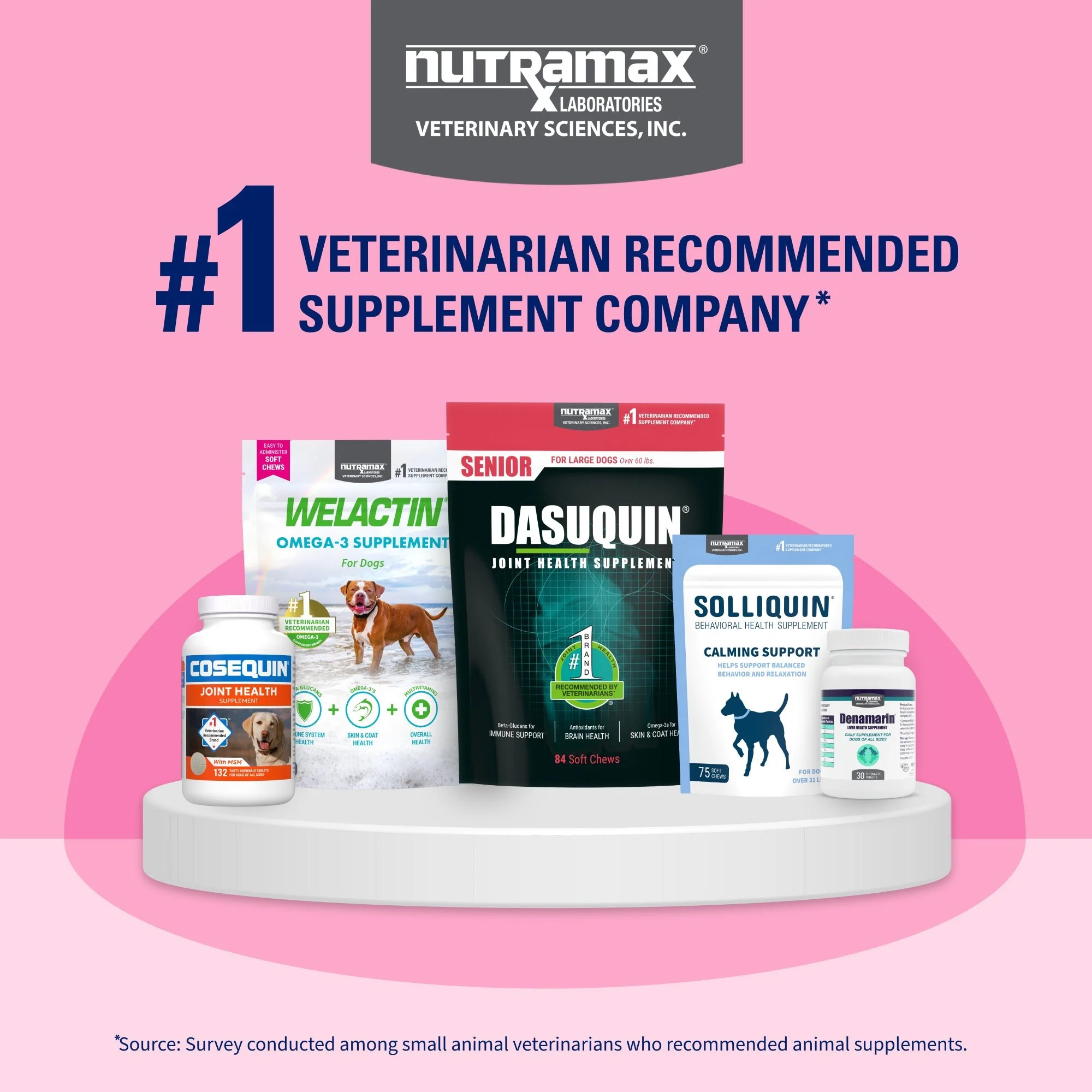 Nutramax Proviable-DC Chew Tablets for Dogs, 60 ct - Image 11