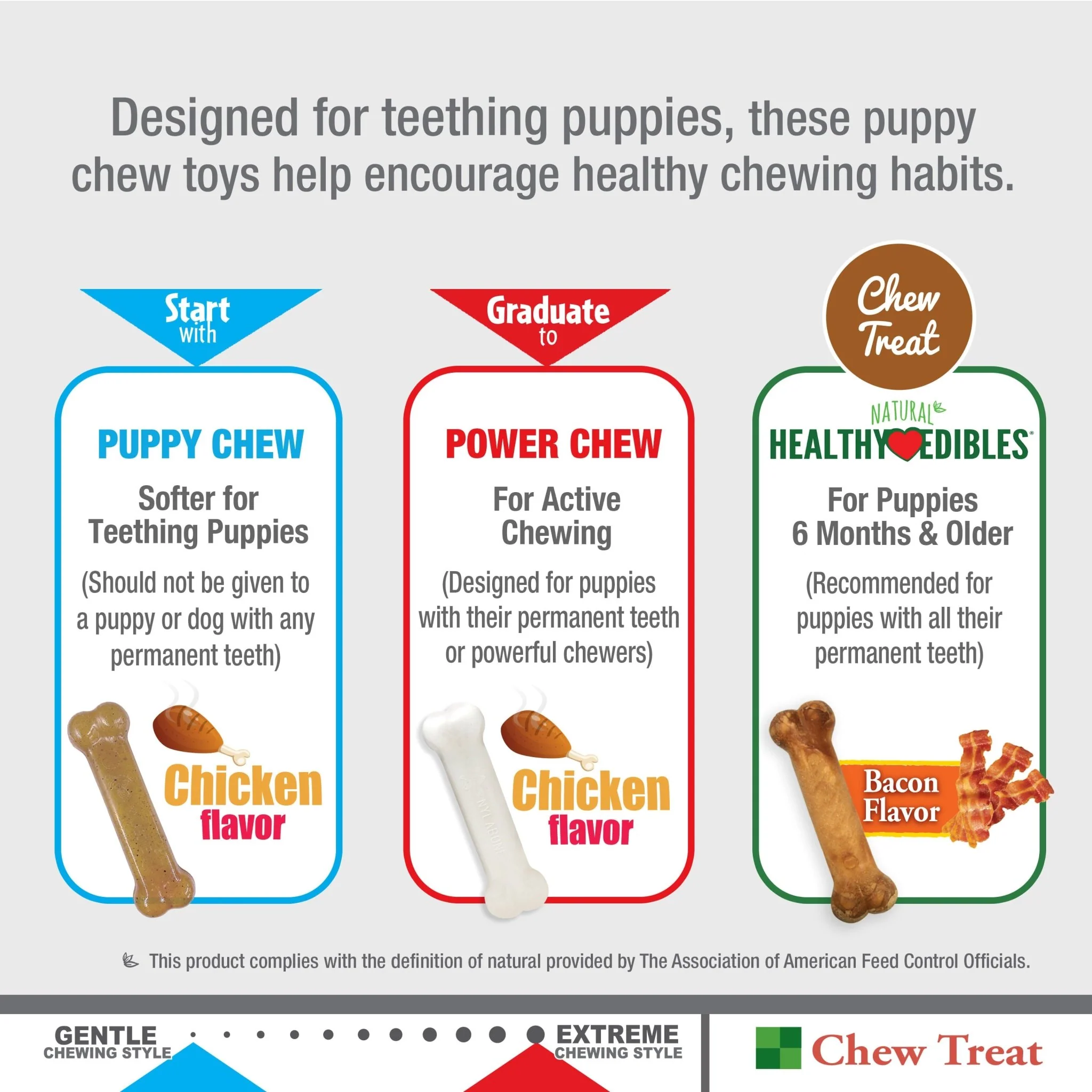 Nylabone Puppy Starter Kit, 3 Pack - Image 5