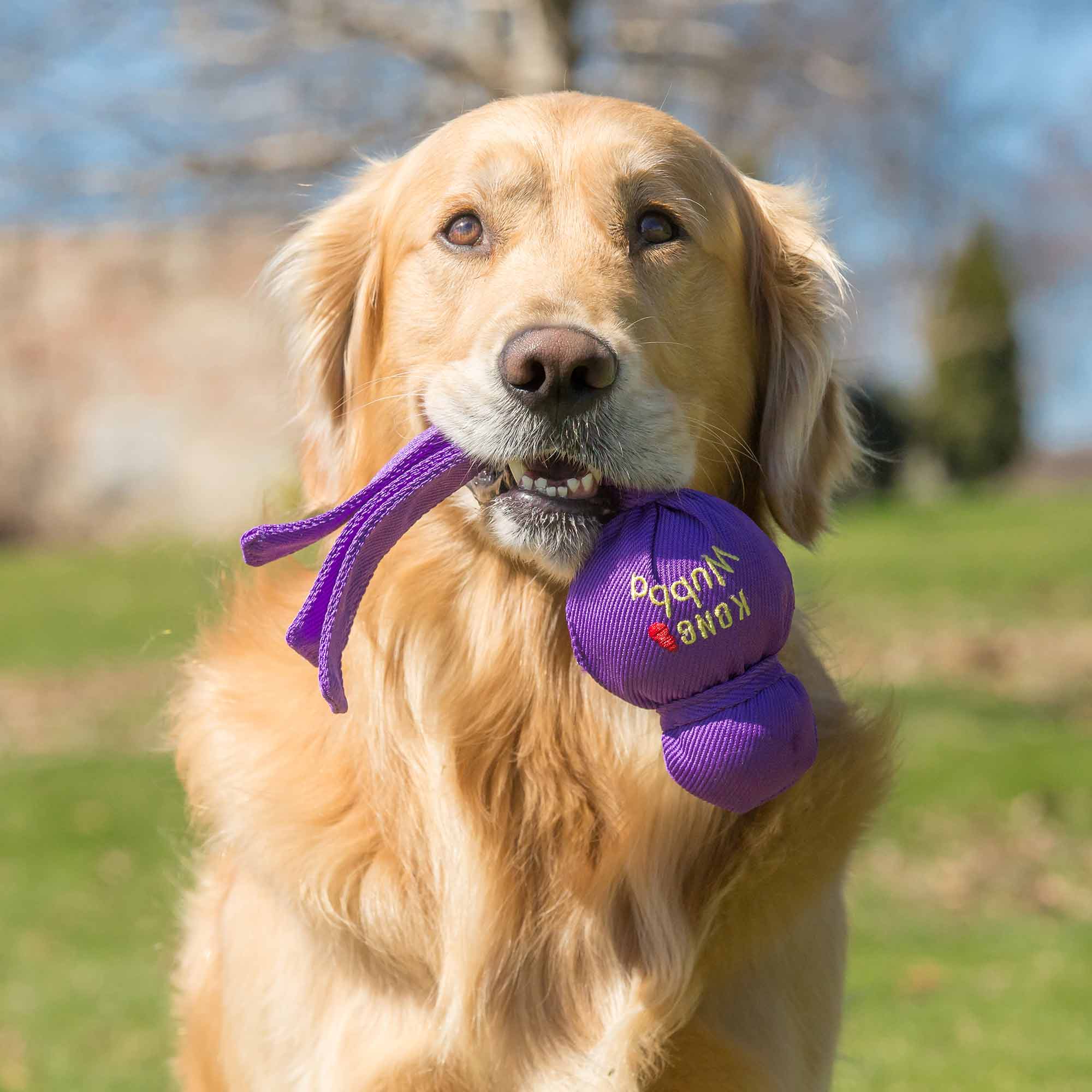 KONG Wubba Dog Toy – Interactive Squeaky Tug & Fetch Toy for Dogs (Assorted Colors, 1 Count) - Image 11
