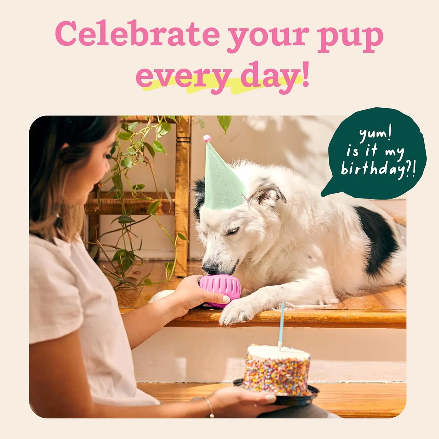 Pupsicle 'Birthday' Party Treat Dispensing Dog Toy – Interactive, Long-Lasting Chew & Puzzle Toy for Dogs - Image 21