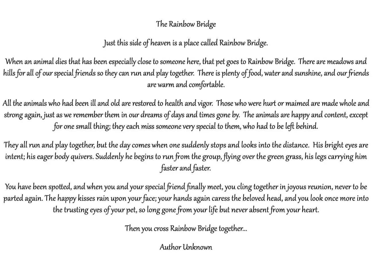 Rainbow Bridge Pet Sympathy Card - Image 6