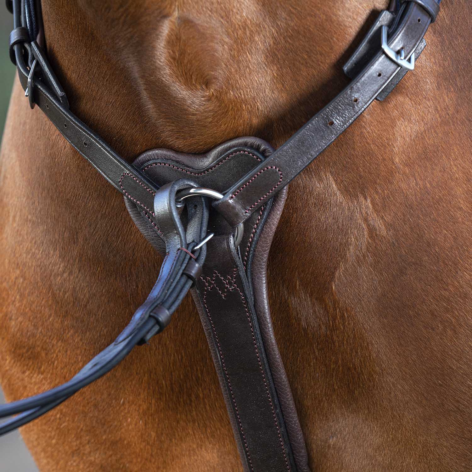 Rambo Micklem Breastplate - Image 10