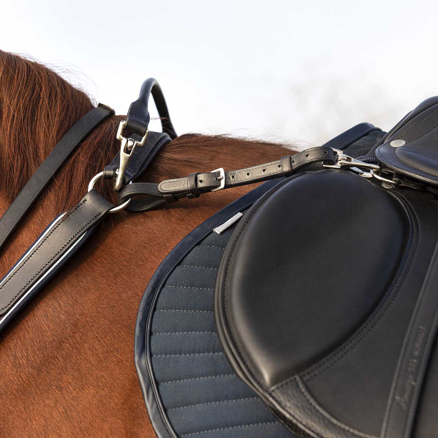 Rambo Micklem Breastplate - Image 4