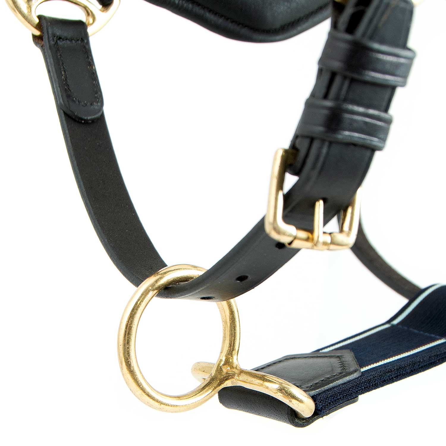 Rambo Micklem Leather Pony & Horse Halter – Anatomical Comfort Fit, Adjustable & Safe - Image 7