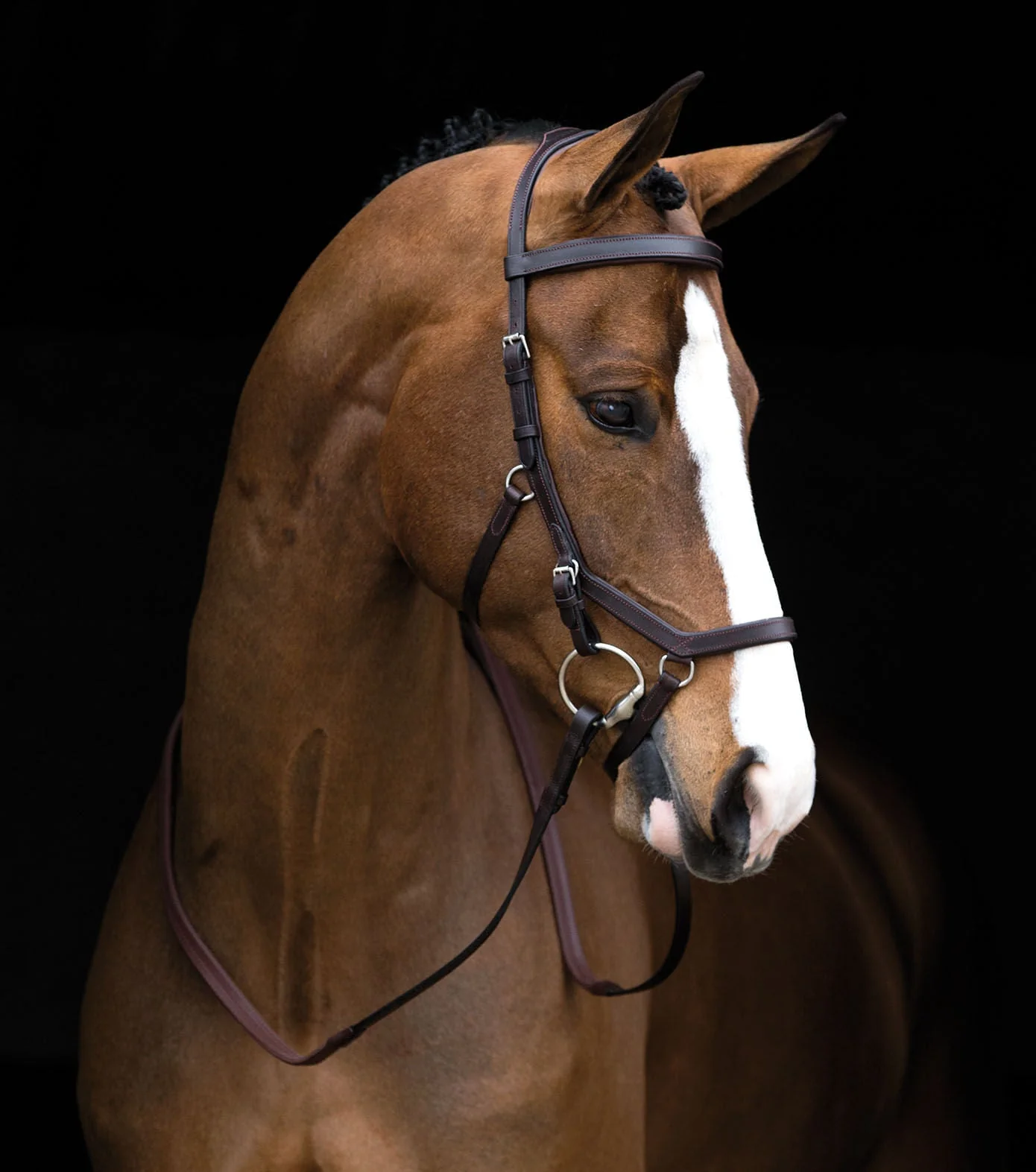 Rambo Micklem Competition Bridle, Dark Havana - Image 2
