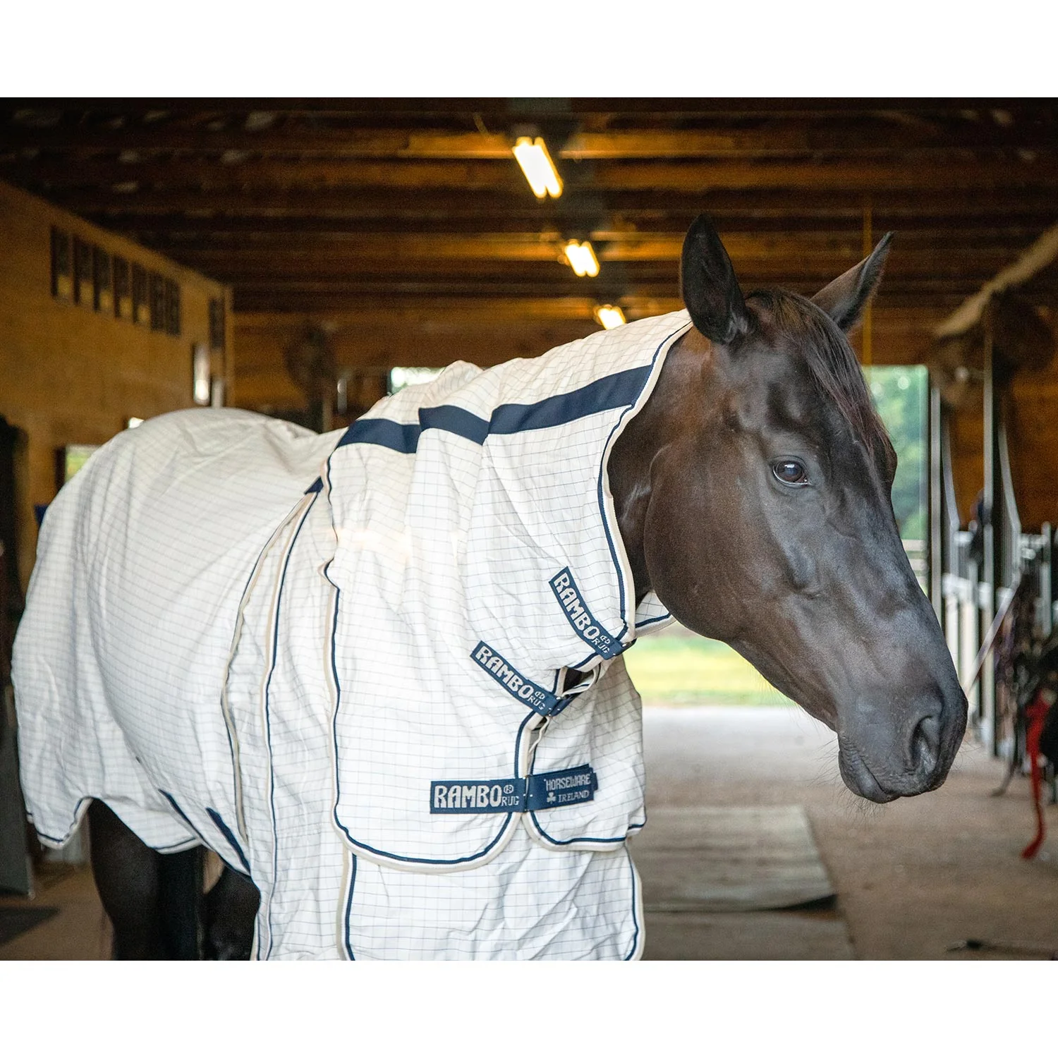 Rambo Optimo Supreme Summer Horse Sheet - UV & Fly Protection - Image 5