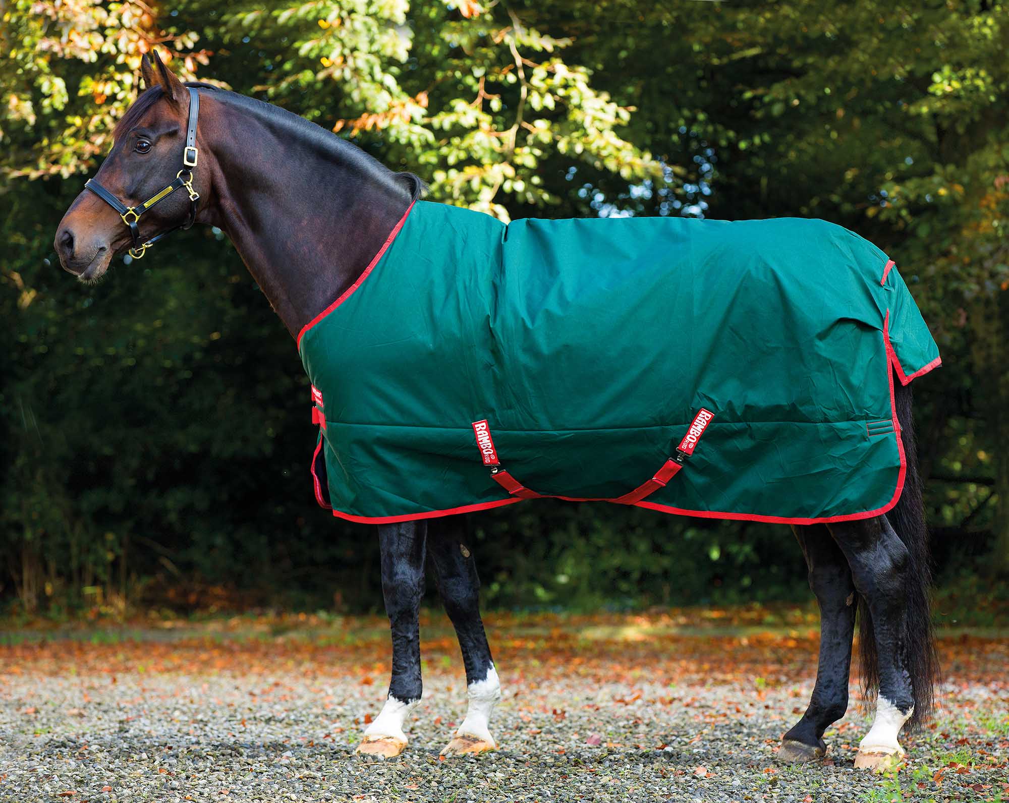 Rambo Original Horse Blanket, Lite, 1000D, 0 Grams
