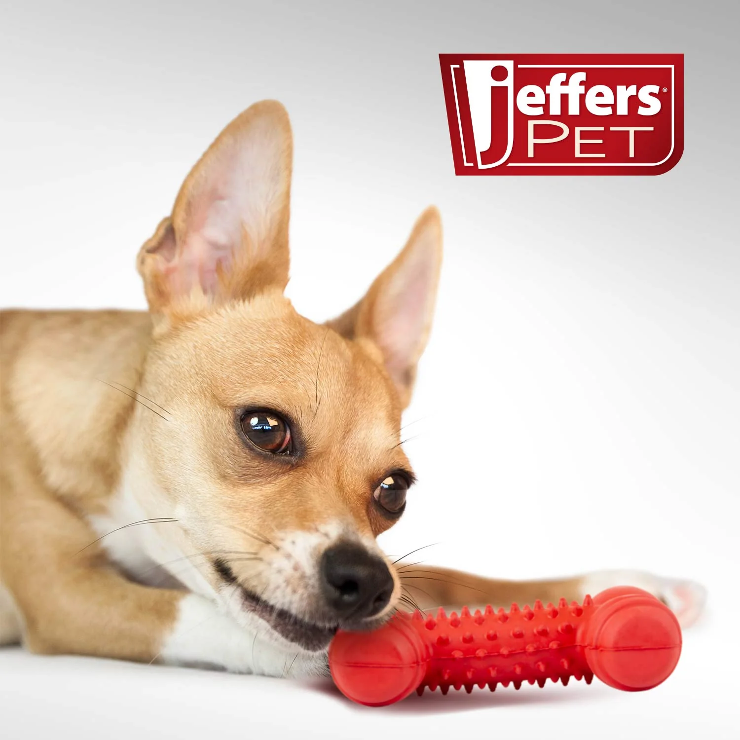 Jeffers Red Dental Bone Natural Rubber Dog Chew Toy for Healthy Teeth and Gums - Image 7