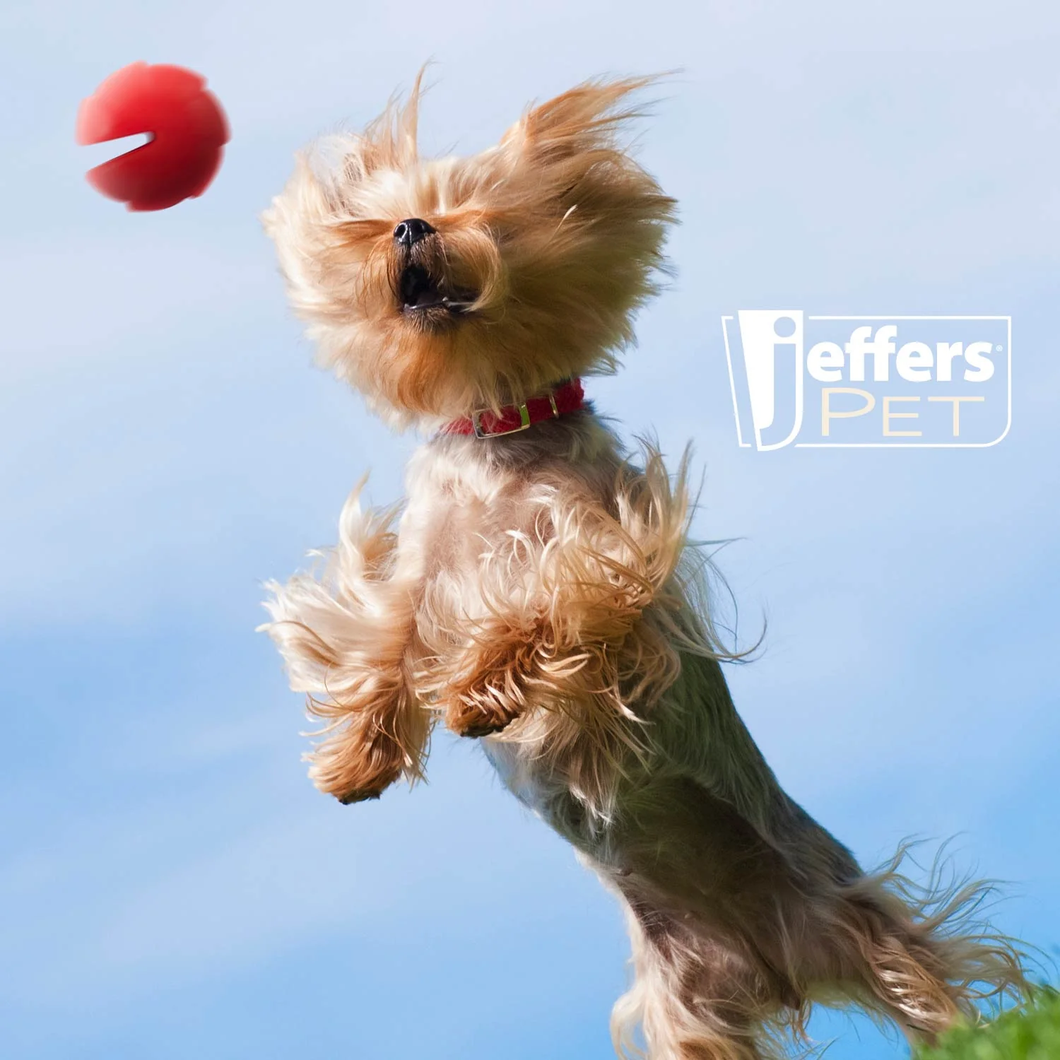 Jeffers Red Millipede Natural Rubber Treat Dispensing Dental Dog Chew Toy - Image 7