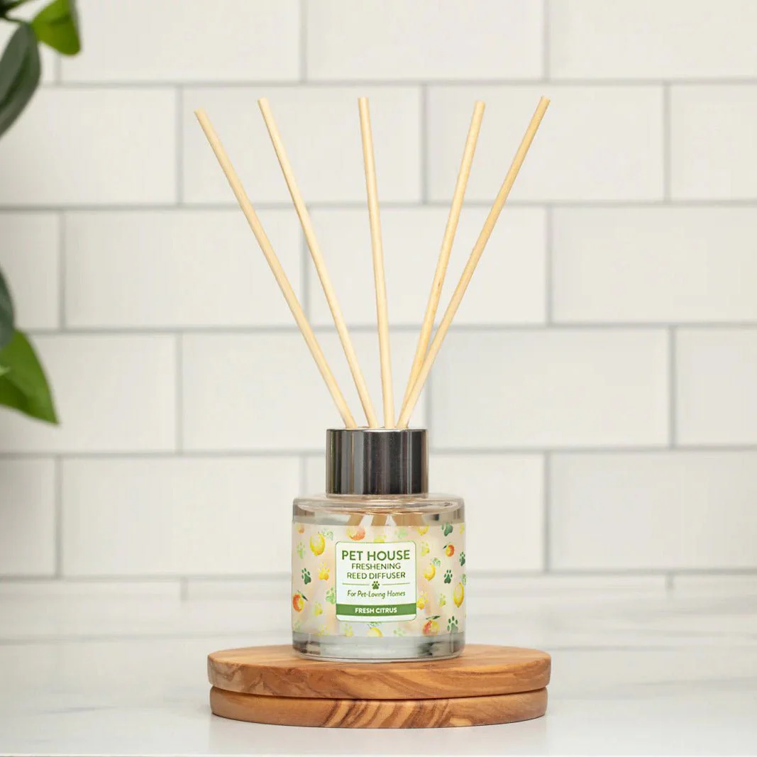 Pet House Reed Diffuser – Pet-Friendly Odor Neutralizer for Homes - Image 12