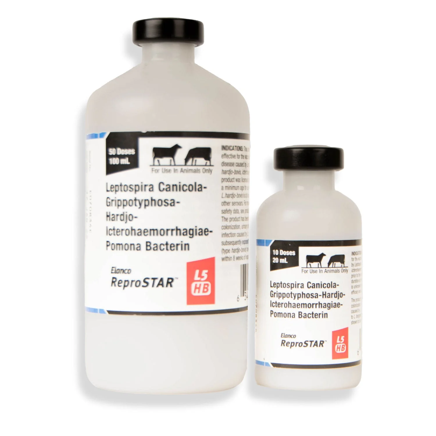 ReproSTAR L5 HB Cattle Vaccine - Image 3