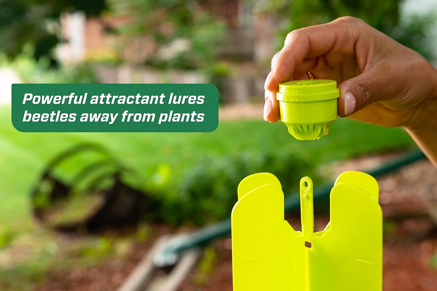 RESCUE! Japanese & Oriental Beetle Trap & Refills - Reusable, Non-Toxic Garden Pest Control - Image 7