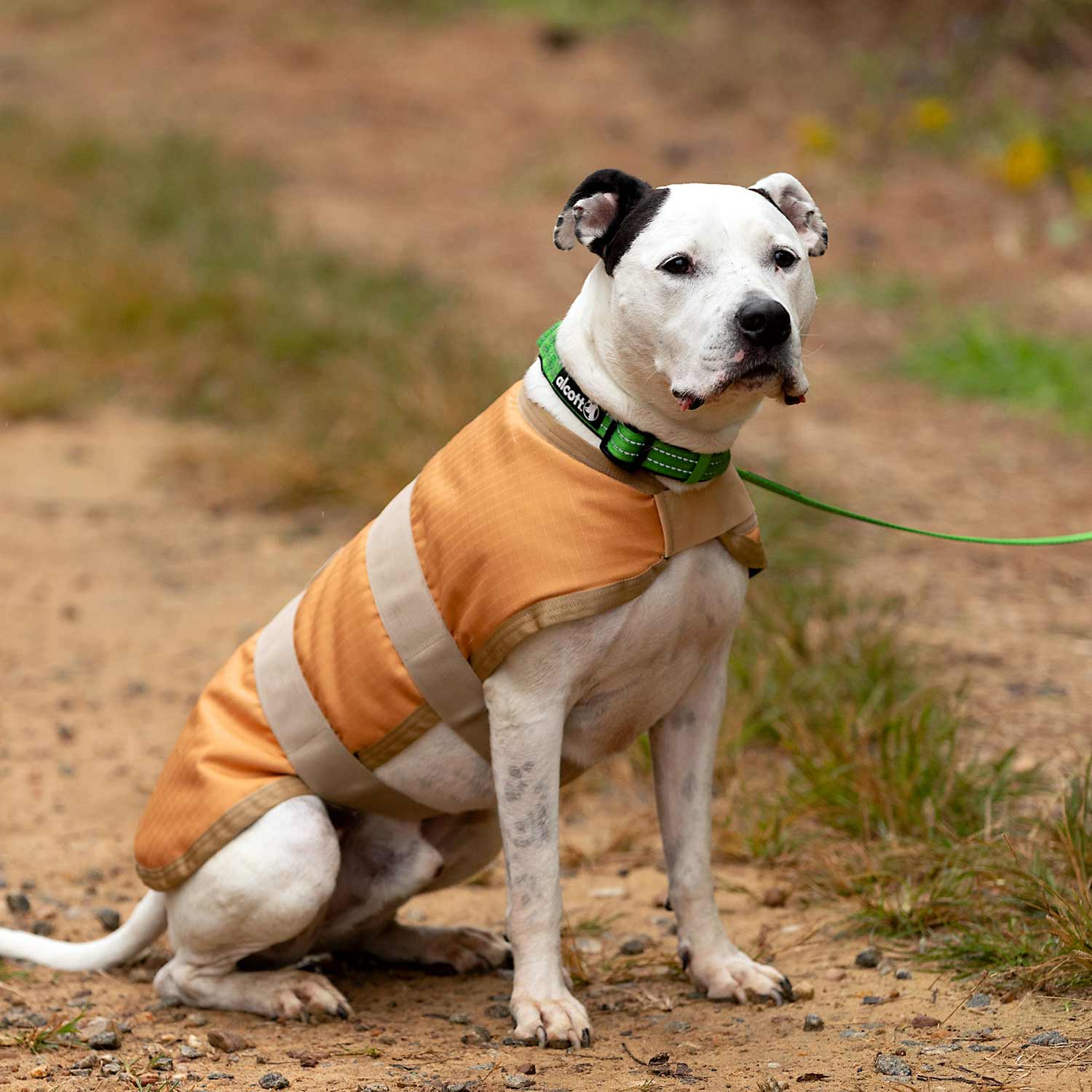 Jeffers Waterproof Breathe-Comfort 600D Ripstop Dog Blanket, 200 Gram - Image 34