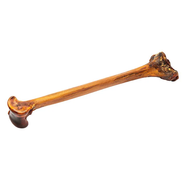 Roam Ostrich Bone Long Lasting Dog Treat - Image 5