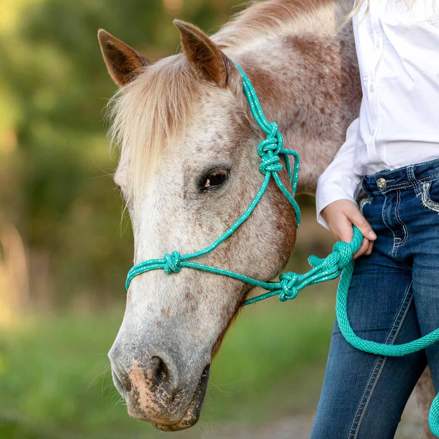 Jeffers Poly Braided Rope Horse Halter with Lead - Image 33