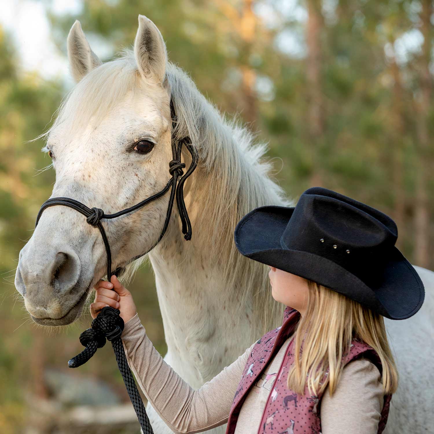 Jeffers Poly Braided Rope Horse Halter with Lead - Image 6