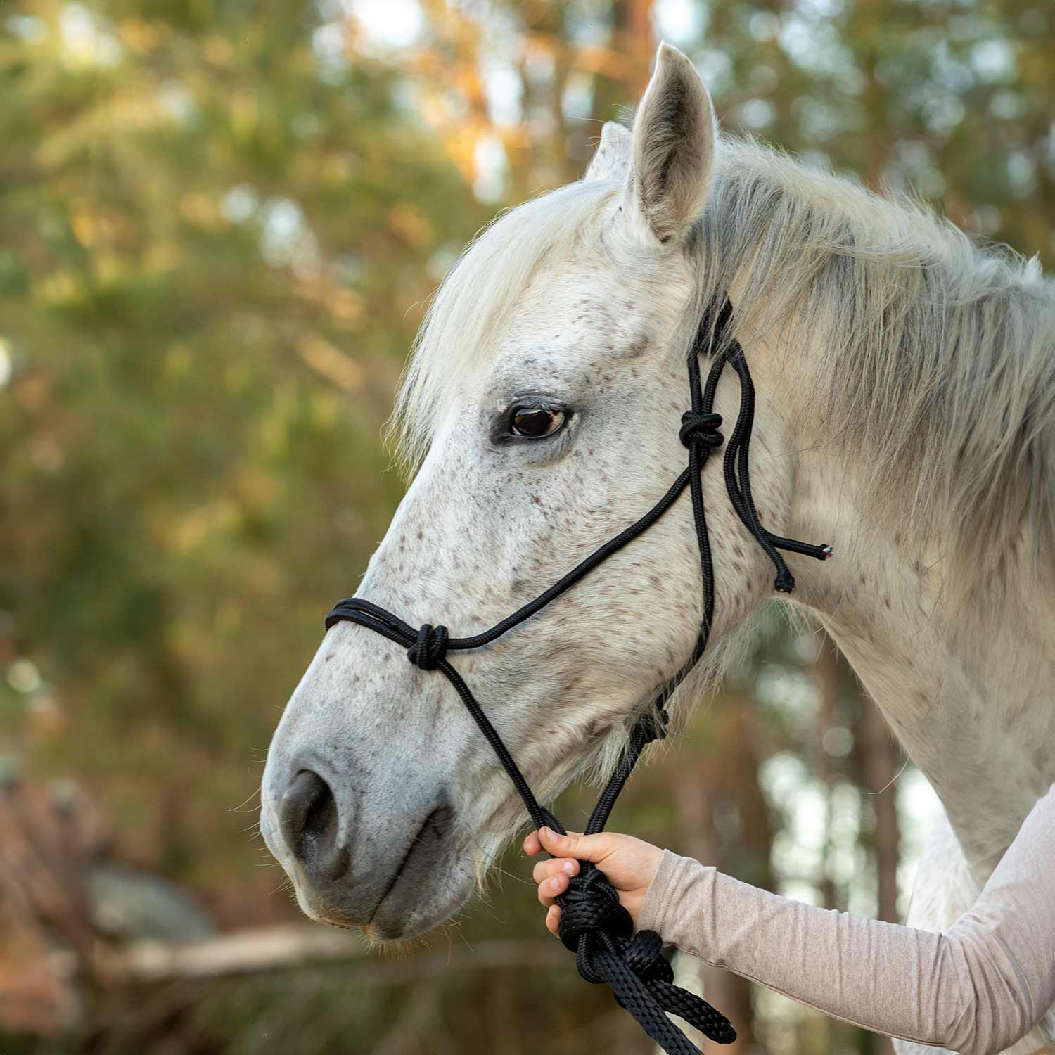 Jeffers Poly Braided Rope Horse Halter with Lead - Image 7