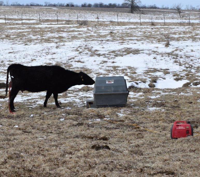 Roy-L-Heat Calf Warmer Box - Image 3