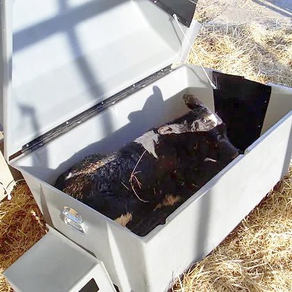 Roy-L-Heat Calf Warmer Box - Image 6