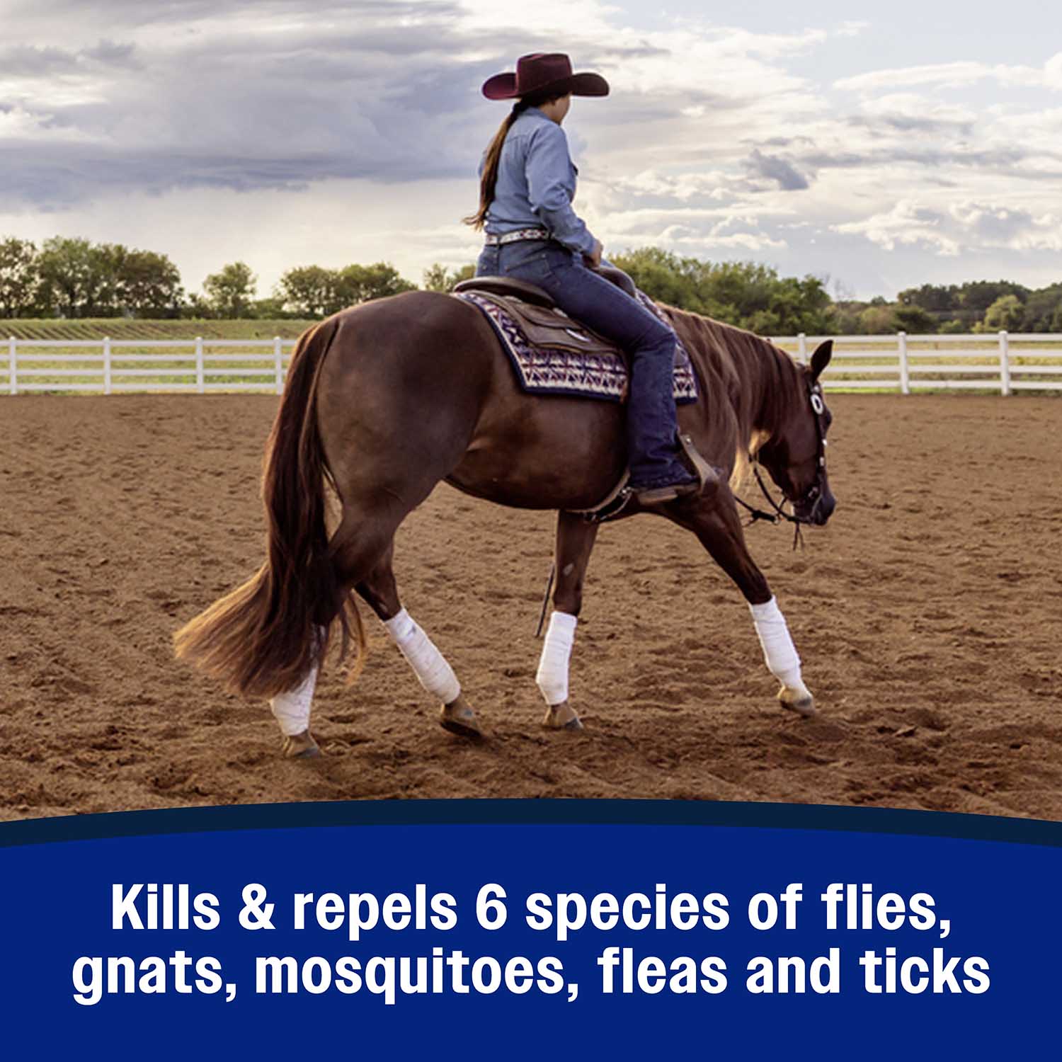 Repel-X Insecticide & Repellent Spray, Quart - Image 5
