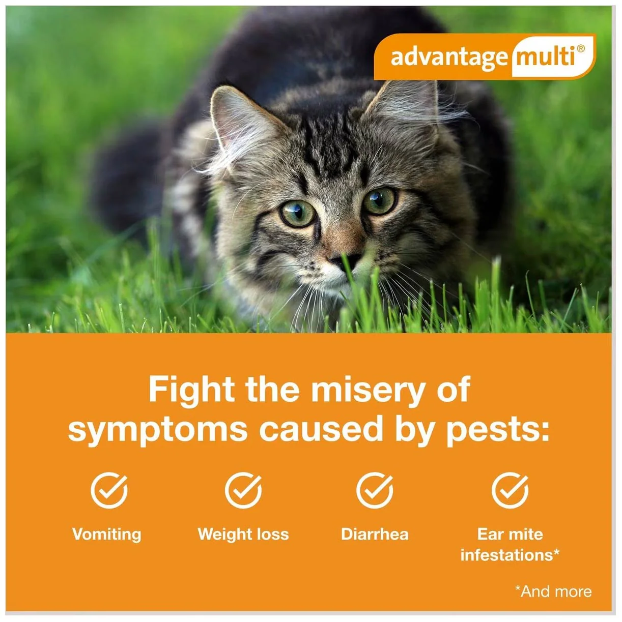 Rx Advantage Multi for Cats - Image 5