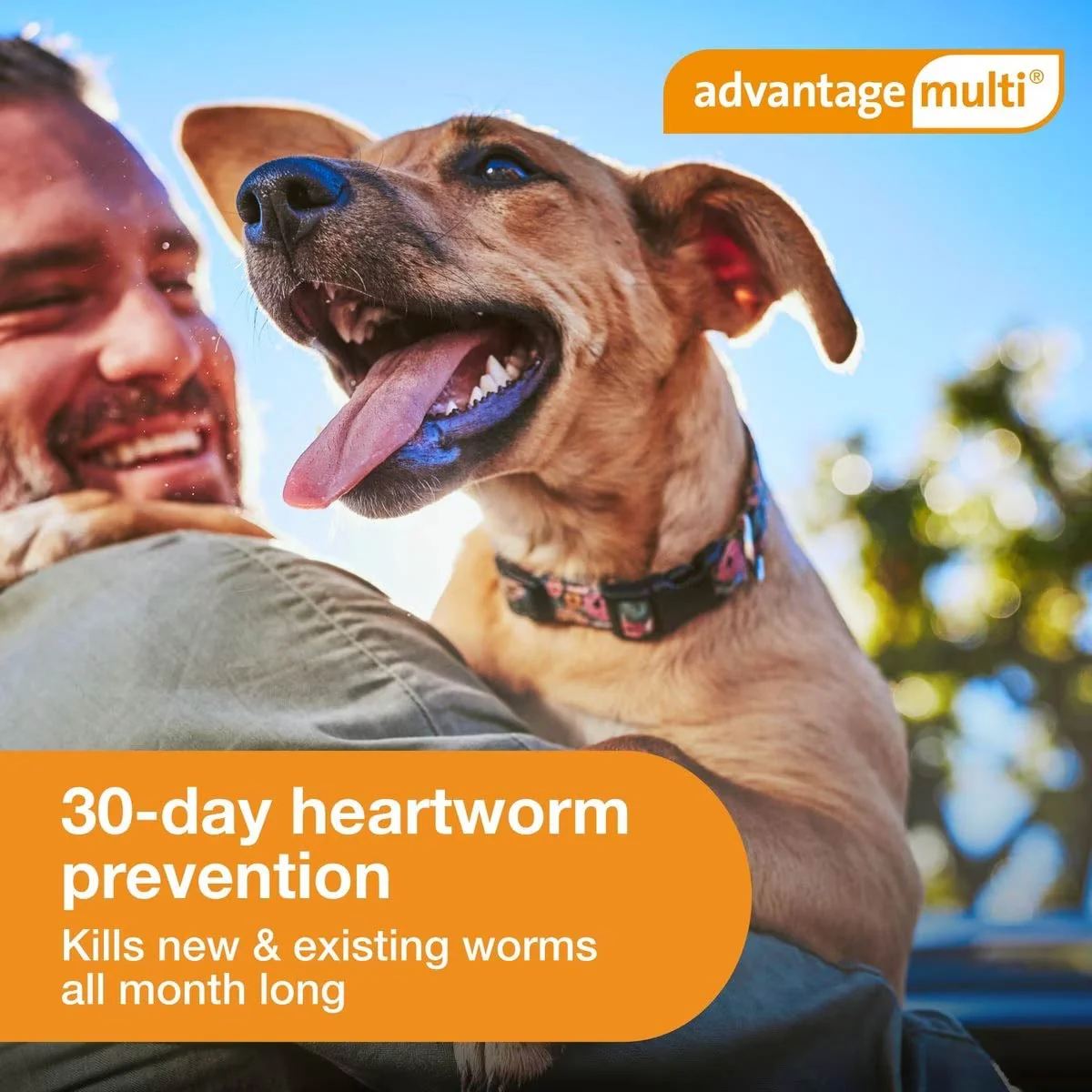 Rx Advantage Multi for Dogs (imidacloprid + moxidectin) Topical Solution - Image 5