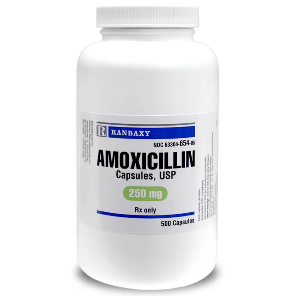 Rx Amoxicillin (Generic) Capsules for Dogs & Cats - Image 4