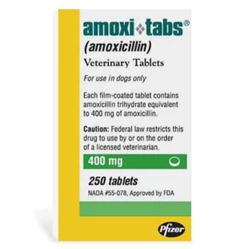 Rx Amoxicillin (Generic) Tablets for Dogs & Cats - Image 4