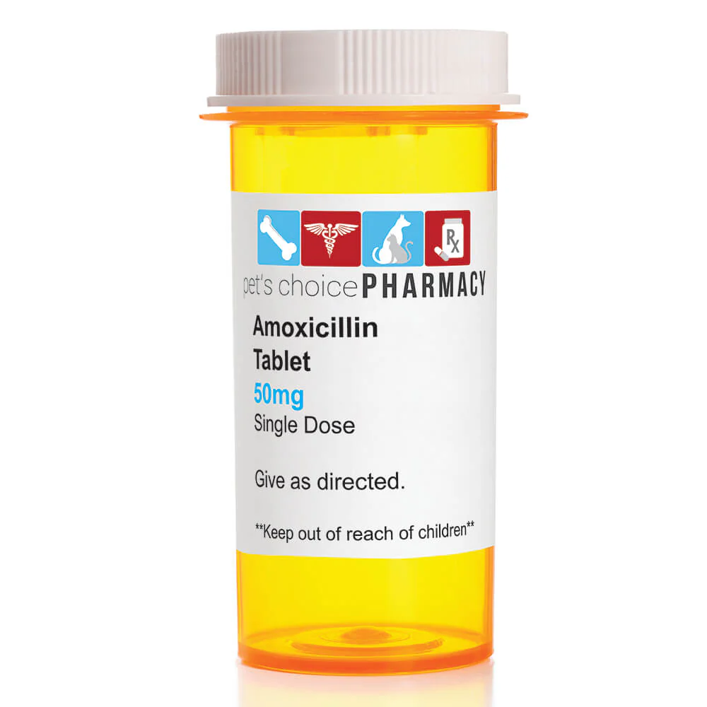 Rx Amoxicillin (Generic) Tablets for Dogs & Cats - Image 6