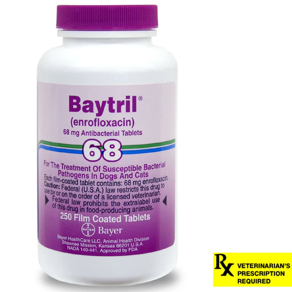 Rx Baytril (enrofloxacin) Tablets for Dogs and Cats