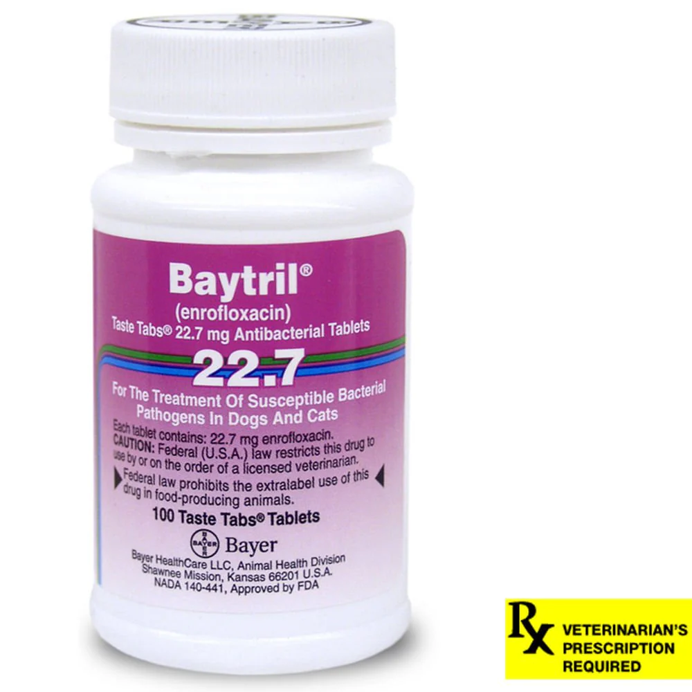 Rx Baytril (enrofloxacin) Tablets for Dogs and Cats - Image 4