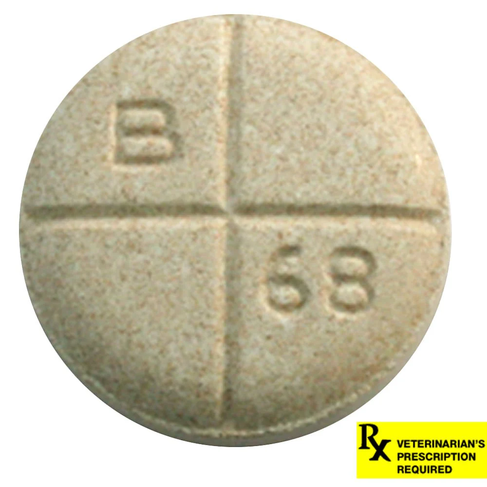 Rx Baytril (enrofloxacin) Tablets for Dogs and Cats - Image 6