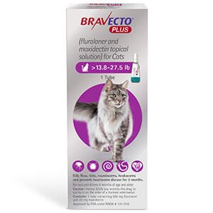 Rx BRAVECTO Plus Topical for Cats