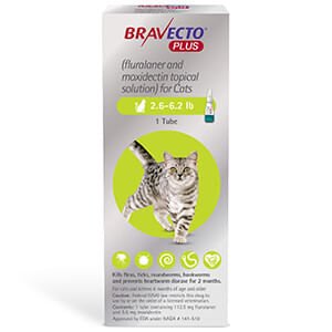 Rx BRAVECTO Plus Topical for Cats - Image 2