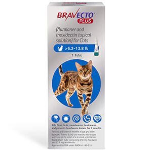 Rx BRAVECTO Plus Topical for Cats - Image 3