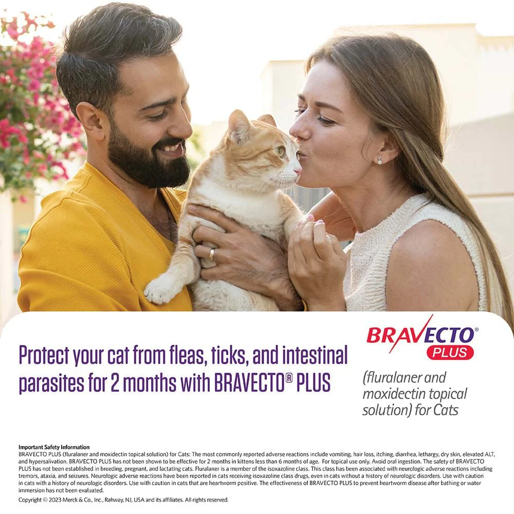 Rx BRAVECTO Plus Topical for Cats - Image 4
